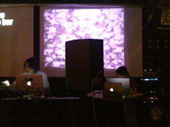sa10231.jpg