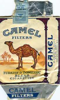 camel.jpg