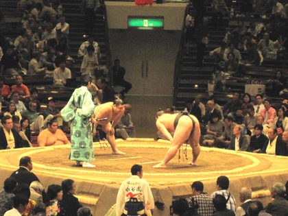 sumo04.jpg